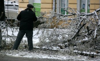 Стихийное бедствие в Одессе: из-за обледенения в городе массово попадали деревья