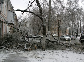 Стихийное бедствие в Одессе: из-за обледенения в городе массово попадали деревья