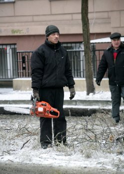 Стихийное бедствие в Одессе: из-за обледенения в городе массово попадали деревья