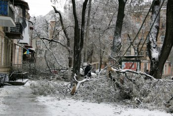 Стихийное бедствие в Одессе: из-за обледенения в городе массово попадали деревья