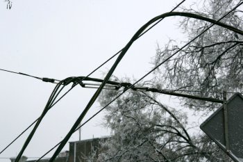 Стихийное бедствие в Одессе: из-за обледенения в городе массово попадали деревья