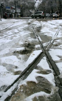 Стихийное бедствие в Одессе: из-за обледенения в городе массово попадали деревья