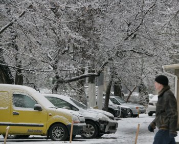 Стихийное бедствие в Одессе: из-за обледенения в городе массово попадали деревья