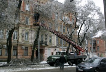 Стихийное бедствие в Одессе: из-за обледенения в городе массово попадали деревья