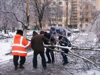 В Суворовском районе от обледенения пострадало 112 деревьев
