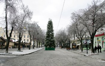 Одесса попрощалась с главной елкой города (фото)