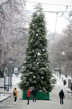 Одесса попрощалась с главной елкой города (фото)