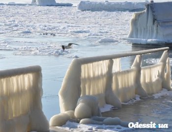 Повторится ли в Одессе ледовая "симфония" 2012 года? (фото)
