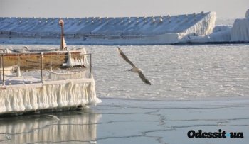 Повторится ли в Одессе ледовая "симфония" 2012 года? (фото)