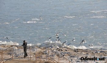 Повторится ли в Одессе ледовая "симфония" 2012 года? (фото)