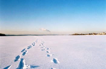 В этом году планируется обновить нормативную денежную оценку земли  371 населенного пункта области 