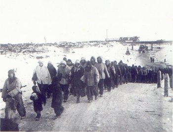 День победы в Сталинградской битве в 1943 году (фото)