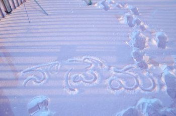Порт замерз