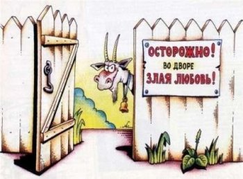 Молоденький сожитель одесситки забрал все, что хотел!