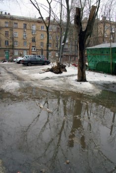 Зима в Одессе: Неделя снега, а потом сплошные лужи (фото)