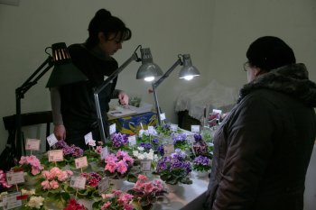 Хватит политики! Покажем прекрасное!
