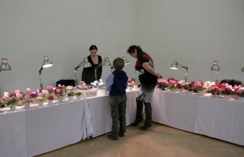 Хватит политики! Покажем прекрасное!