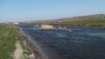 Валентина Дацюк: «Одесса активно участвует в спасении Куяльницкого лимана»