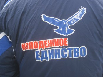 На Думской  митинг