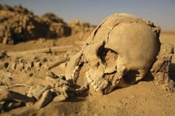 Облгосадминистрация будет дружить с археологами
