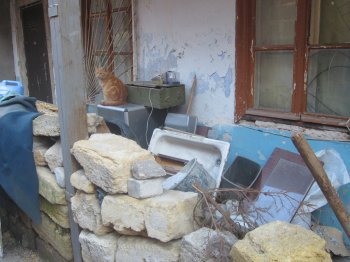 Олег Гоцуляк взял патронат над одесским двориком