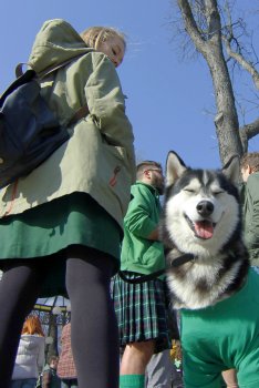 По Дерибасовской прошлись зеленые человечки (фото)