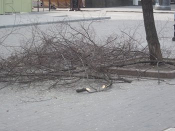 Дерибасовская омолаживается
