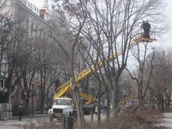 Дерибасовская омолаживается