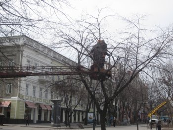 Дерибасовская омолаживается
