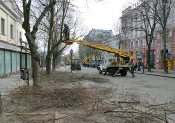 Дерибасовская преображается