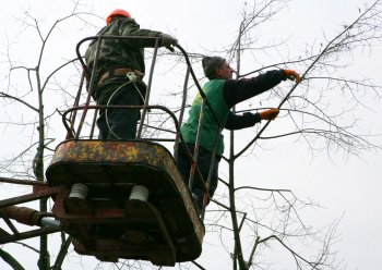Дерибасовская преображается