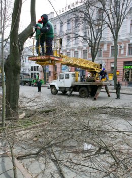 Дерибасовская преображается