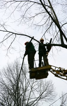 Дерибасовская преображается
