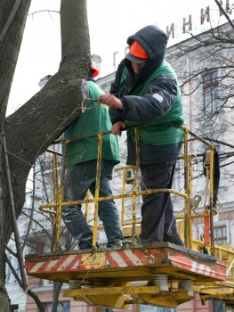 Дерибасовская преображается