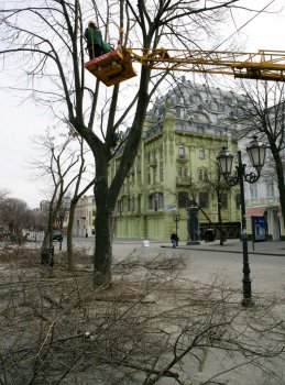 Дерибасовская преображается