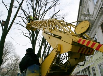 Дерибасовская преображается
