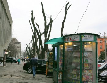 В Горзелентресте говорят, что будет красиво