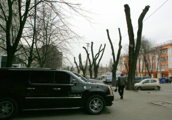 В Горзелентресте говорят, что будет красиво