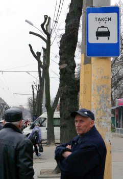 В Горзелентресте говорят, что будет красиво