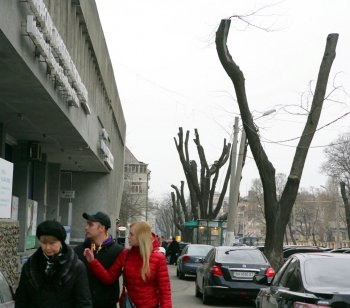В Горзелентресте говорят, что будет красиво