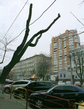 В Горзелентресте говорят, что будет красиво
