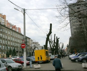 В Горзелентресте говорят, что будет красиво