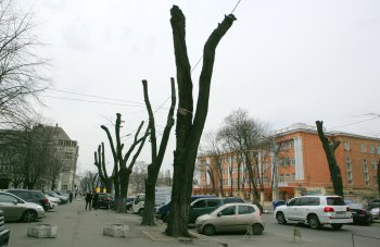 В Горзелентресте говорят, что будет красиво