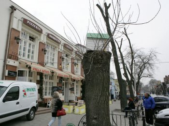 В Горзелентресте говорят, что будет красиво