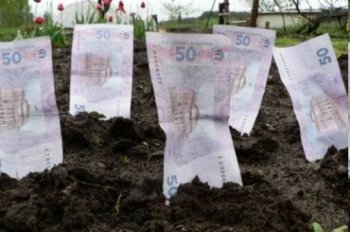 Декларация по плате за землю подается по новой форме
