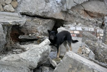 Шторм превратил пляж Черноморки в руины (фото)