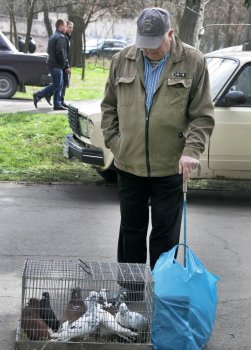 Любовь и голуби в Одессе (фото)