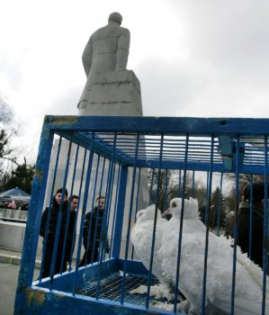 Любовь и голуби в Одессе (фото)