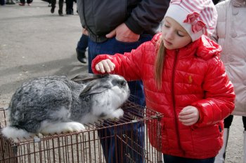 Любовь и голуби в Одессе (фото)