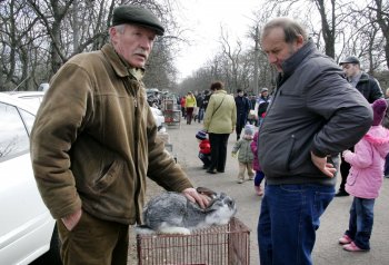 Любовь и голуби в Одессе (фото)